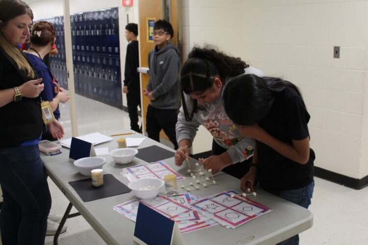 Two Cowherd students work on creating 2D and 3D shapes out of marshmallows and toothpicks.