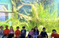 Benavides 1st Grade Visits the Shedd Aquarium