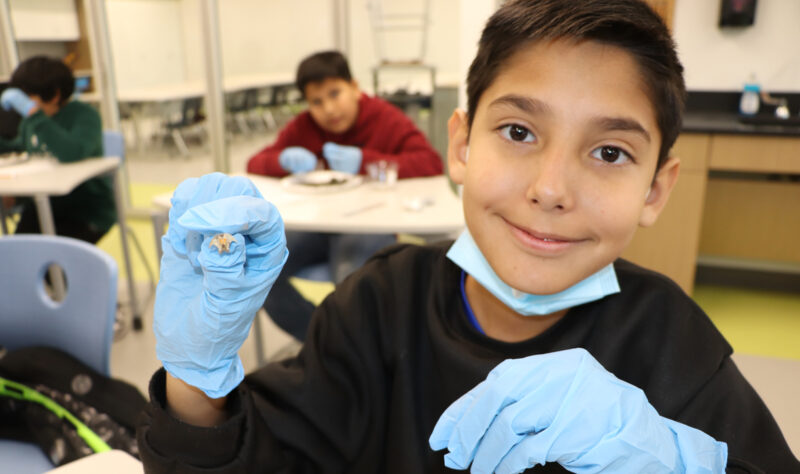 Gael Vargas - owl pellet dissection     Estudiantes de 5º grado diseccionando gránulos de búho